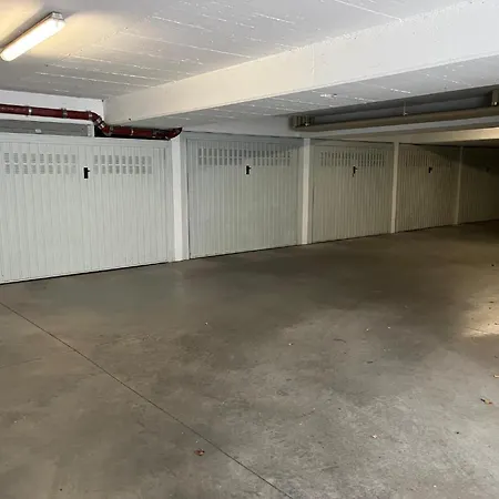 Leonardo * 梅拉诺