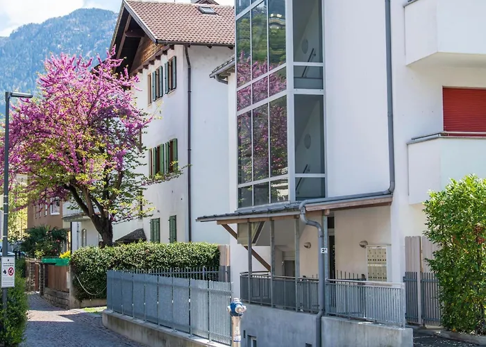 Leonardo * 梅拉诺